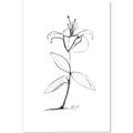 Picture of Single Flower VIII _GroupedProduct_Rectangle_Portrait_Canvas_
