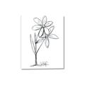 Picture of Single Flower III _GroupedProduct_Rectangle_Portrait_Canvas_