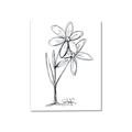Picture of Single Flower III _GroupedProduct_Rectangle_Portrait_Canvas_