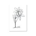 Picture of Single Flower III _GroupedProduct_Rectangle_Portrait_Canvas_