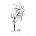 Picture of Single Flower III _GroupedProduct_Rectangle_Portrait_Canvas_