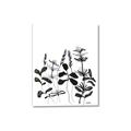 Picture of Silhouette Leaves I  _GroupedProduct_Rectangle_Portrait_Canvas_