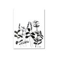 Picture of Silhouette Leaves I  _GroupedProduct_Rectangle_Portrait_Canvas_
