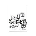 Picture of Silhouette Leaves I  _GroupedProduct_Rectangle_Portrait_Canvas_