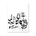 Picture of Silhouette Leaves I  _GroupedProduct_Rectangle_Portrait_Canvas_