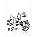 Picture of Silhouette Leaves I  _GroupedProduct_Rectangle_Portrait_Canvas_