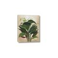 Picture of Tropical Greens _GroupedProduct_Rectangle_Portrait_Canvas_