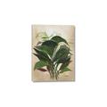 Picture of Tropical Greens _GroupedProduct_Rectangle_Portrait_Canvas_