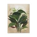Picture of Tropical Greens _GroupedProduct_Rectangle_Portrait_Canvas_