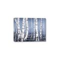 Picture of Plain White Birches _GroupedProduct_Rectangle_Landscape_Canvas_