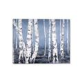 Picture of Plain White Birches _GroupedProduct_Rectangle_Landscape_Canvas_