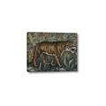 Picture of Baby Tiger _GroupedProduct_Rectangle_Landscape_Canvas_