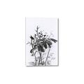 Picture of Black Daisy I _GroupedProduct_Rectangle_Portrait_Canvas_