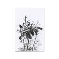 Picture of Black Daisy I _GroupedProduct_Rectangle_Portrait_Canvas_