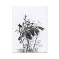 Picture of Black Daisy I _GroupedProduct_Rectangle_Portrait_Canvas_