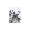 Picture of Black Daisy II _GroupedProduct_Rectangle_Portrait_Canvas_