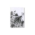 Picture of Black Daisy II _GroupedProduct_Rectangle_Portrait_Canvas_