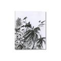 Picture of Black Daisy II _GroupedProduct_Rectangle_Portrait_Canvas_