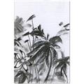 Picture of Black Daisy II _GroupedProduct_Rectangle_Portrait_Canvas_