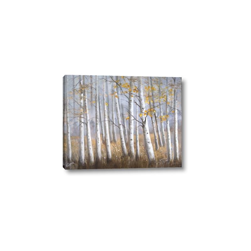 Picture of Birch Tree (yellow leaf) _GroupedProduct_Rectangle_Landscape_Canvas_