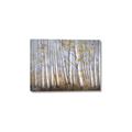 Picture of Birch Tree (yellow leaf) _GroupedProduct_Rectangle_Landscape_Canvas_
