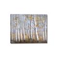 Picture of Birch Tree (yellow leaf) _GroupedProduct_Rectangle_Landscape_Canvas_
