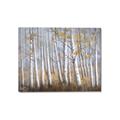 Picture of Birch Tree (yellow leaf) _GroupedProduct_Rectangle_Landscape_Canvas_