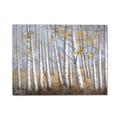 Picture of Birch Tree (yellow leaf) _GroupedProduct_Rectangle_Landscape_Canvas_