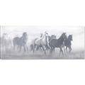Picture of Running Horse I  _GroupedProduct_Panel_Landscape_Canvas_