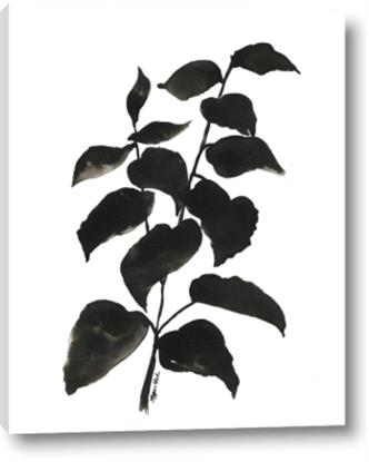 Picture of Black Leaves I
