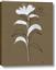 Picture of Neutral Plant  IV