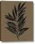 Picture of Silhouette Leaves