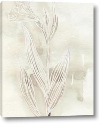 Picture of Transparent Tulip I