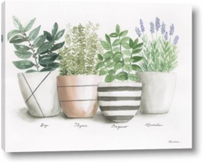 Picture of Pots With Flower I