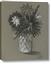Picture of Charcoal Flower Drawing II