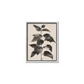 Picture of Black Linen Leaves II _GroupedProduct_Rectangle_Portrait_Canvas_Framed_