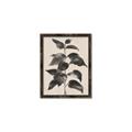 Picture of Black Linen Leaves II _GroupedProduct_Rectangle_Portrait_Canvas_Framed_