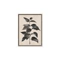 Picture of Black Linen Leaves II _GroupedProduct_Rectangle_Portrait_Canvas_Framed_