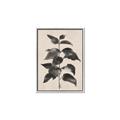 Picture of Black Linen Leaves II _GroupedProduct_Rectangle_Portrait_Canvas_Framed_