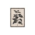 Picture of Black Linen Leaves II _GroupedProduct_Rectangle_Portrait_Canvas_Framed_
