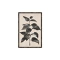 Picture of Black Linen Leaves II _GroupedProduct_Rectangle_Portrait_Canvas_Framed_