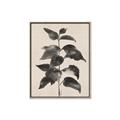 Picture of Black Linen Leaves II _GroupedProduct_Rectangle_Portrait_Canvas_Framed_