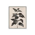 Picture of Black Linen Leaves II _GroupedProduct_Rectangle_Portrait_Canvas_Framed_
