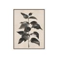 Picture of Black Linen Leaves II _GroupedProduct_Rectangle_Portrait_Canvas_Framed_