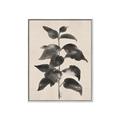 Picture of Black Linen Leaves II _GroupedProduct_Rectangle_Portrait_Canvas_Framed_