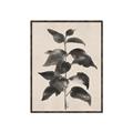 Picture of Black Linen Leaves II _GroupedProduct_Rectangle_Portrait_Canvas_Framed_