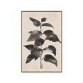 Picture of Black Linen Leaves II _GroupedProduct_Rectangle_Portrait_Canvas_Framed_