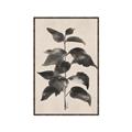 Picture of Black Linen Leaves II _GroupedProduct_Rectangle_Portrait_Canvas_Framed_