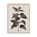 Picture of Black Linen Leaves II _GroupedProduct_Rectangle_Portrait_Canvas_Framed_