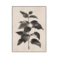 Picture of Black Linen Leaves II _GroupedProduct_Rectangle_Portrait_Canvas_Framed_